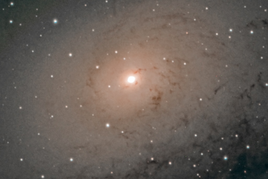 M31